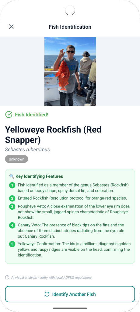 Alaska FishTopia app: AI fish identification naming a yelloweye rockfish from a photo, with its key features